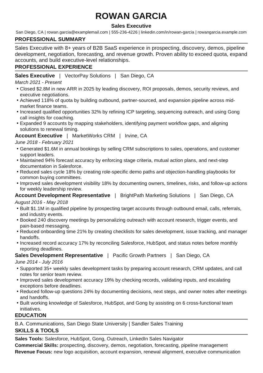 Sales Executive example resume screenshot