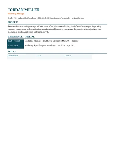 Modern Left Rule resume template thumbnail